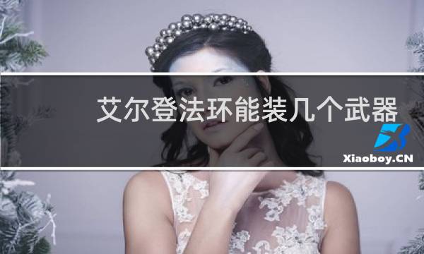 艾尔登法环能装几个武器