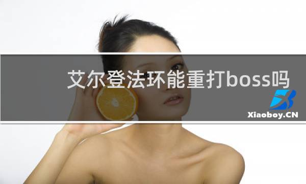 艾尔登法环能重打boss吗