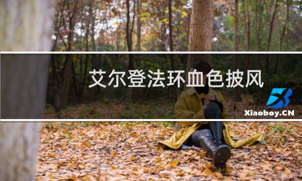 艾尔登法环血色披风