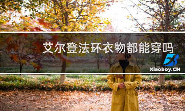 艾尔登法环衣物都能穿吗