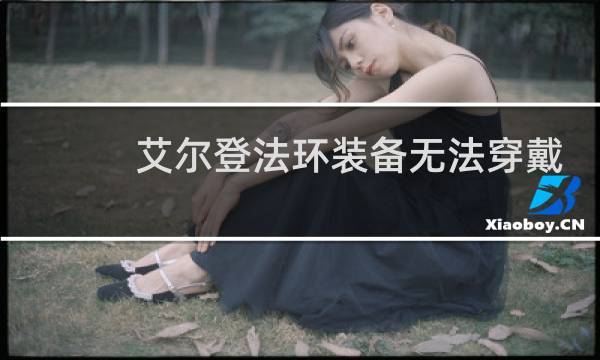 艾尔登法环装备无法穿戴