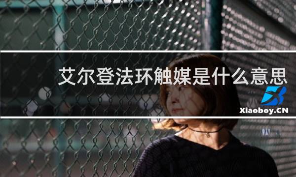 艾尔登法环触媒是什么意思