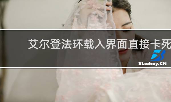 艾尔登法环载入界面直接卡死