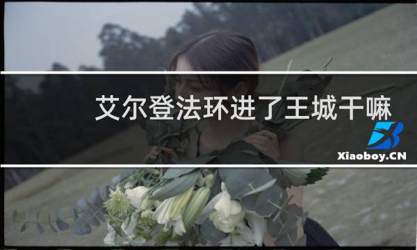 艾尔登法环进了王城干嘛