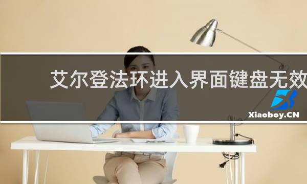 艾尔登法环进入界面键盘无效