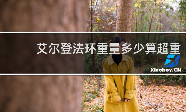 艾尔登法环重量多少算超重