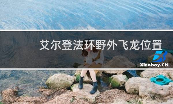 艾尔登法环野外飞龙位置
