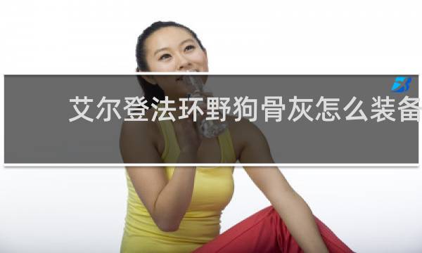 艾尔登法环野狗骨灰怎么装备
