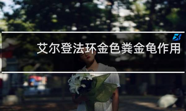 艾尔登法环金色粪金龟作用