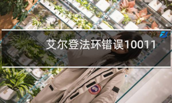 艾尔登法环错误10011