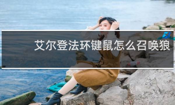 艾尔登法环键鼠怎么召唤狼