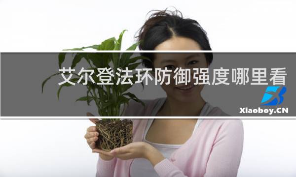 艾尔登法环防御强度哪里看