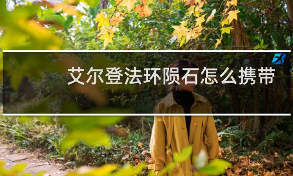 艾尔登法环陨石怎么携带