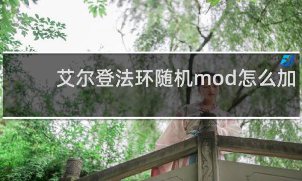 艾尔登法环随机mod怎么加