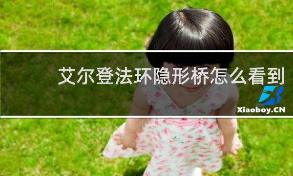 艾尔登法环隐形桥怎么看到