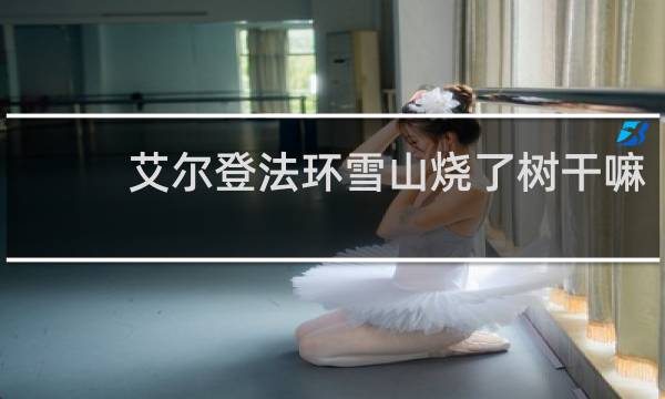艾尔登法环雪山烧了树干嘛
