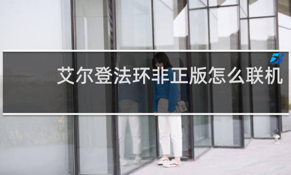艾尔登法环非正版怎么联机