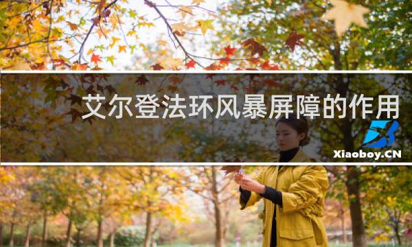 艾尔登法环风暴屏障的作用