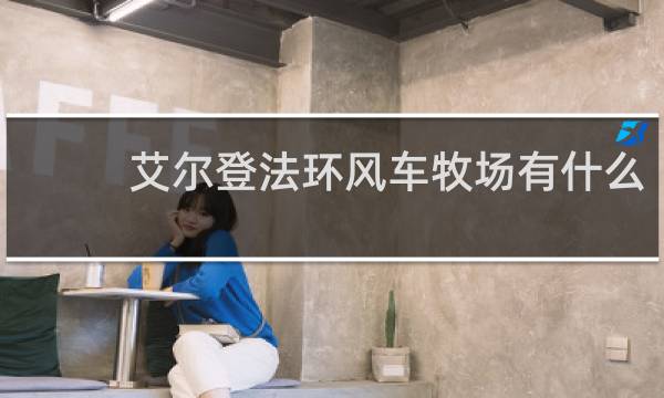 艾尔登法环风车牧场有什么