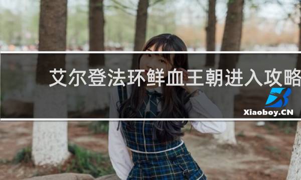 艾尔登法环鲜血王朝进入攻略