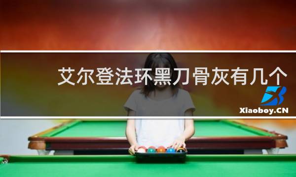 艾尔登法环黑刀骨灰有几个