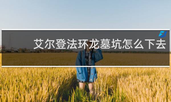 艾尔登法环龙墓坑怎么下去