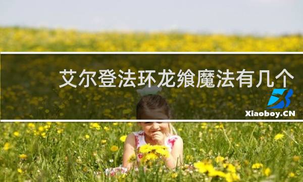 艾尔登法环龙飨魔法有几个