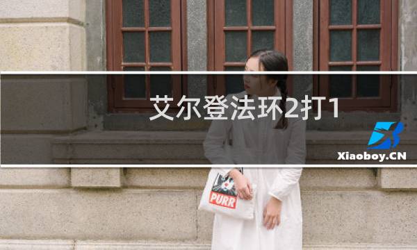 艾尔登法环2打1