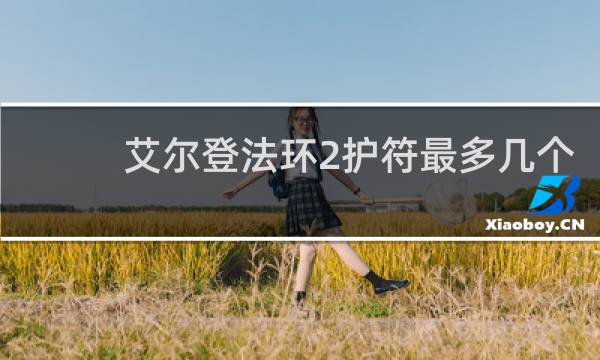 艾尔登法环2护符最多几个