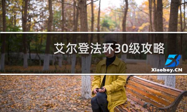 艾尔登法环30级攻略