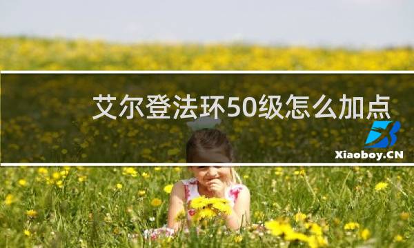 艾尔登法环50级怎么加点
