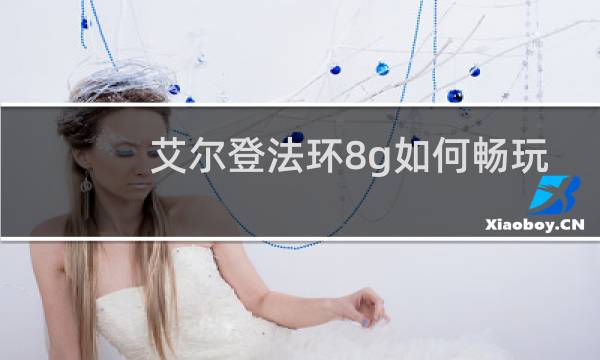 艾尔登法环8g如何畅玩