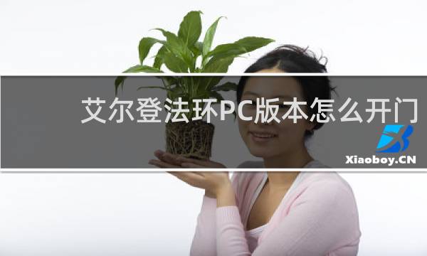 艾尔登法环PC版本怎么开门