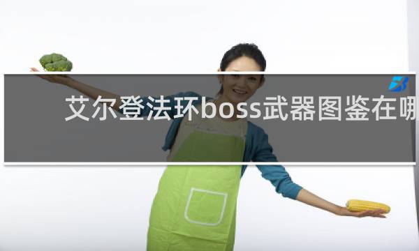艾尔登法环boss武器图鉴在哪