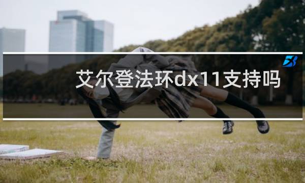 艾尔登法环dx11支持吗