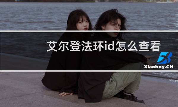 艾尔登法环id怎么查看