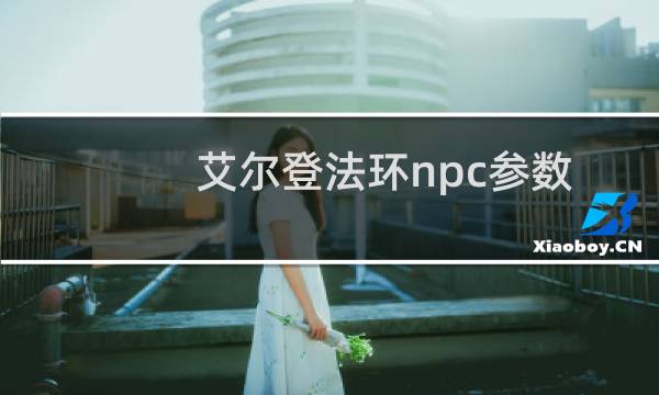 艾尔登法环npc参数