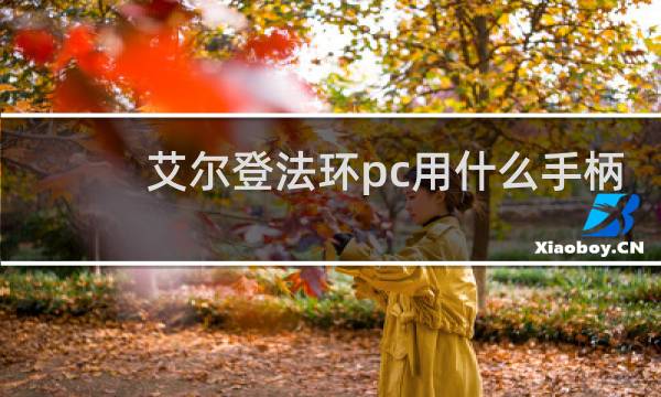艾尔登法环pc用什么手柄