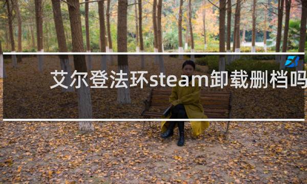 艾尔登法环steam卸载删档吗