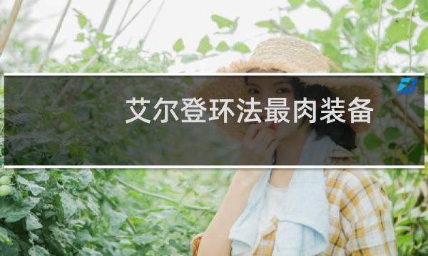 艾尔登环法最肉装备