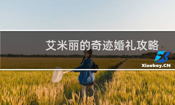 艾米丽的奇迹婚礼攻略