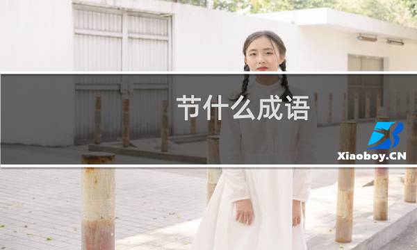 节什么成语