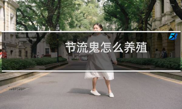 节流鬼怎么养殖