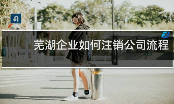 芜湖企业如何注销公司流程