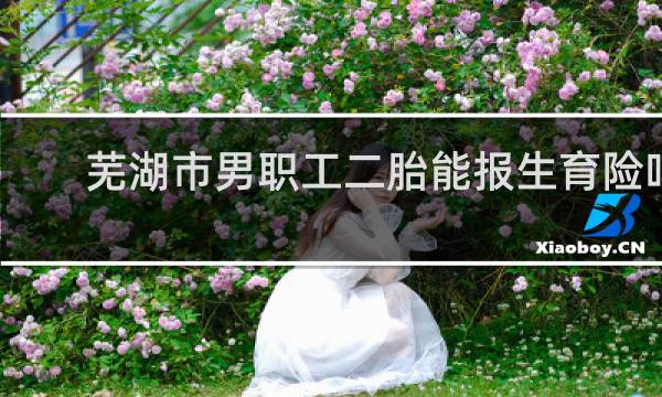 芜湖市男职工二胎能报生育险吗