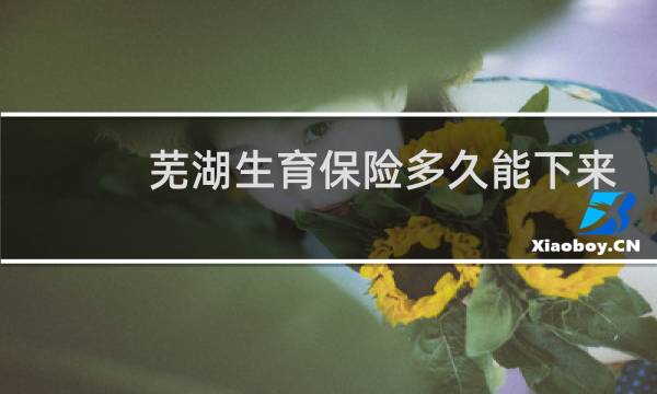 芜湖生育保险多久能下来