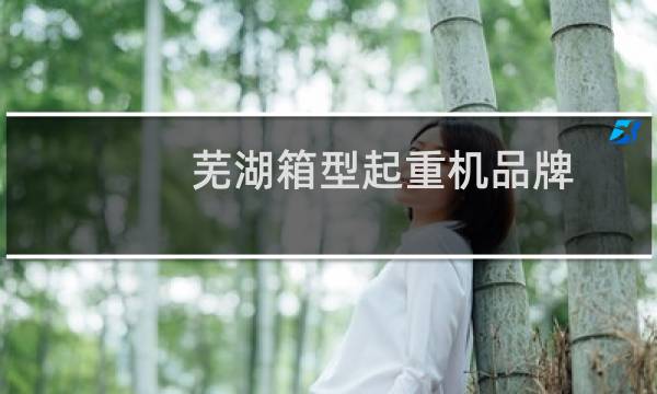 芜湖箱型起重机品牌