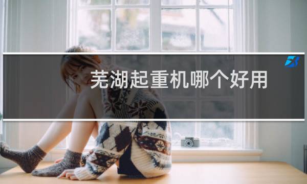 芜湖起重机哪个好用