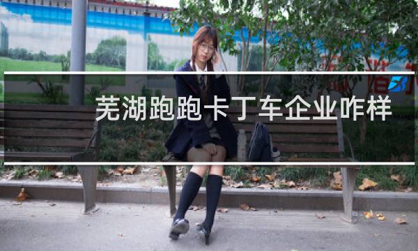 芜湖跑跑卡丁车企业咋样