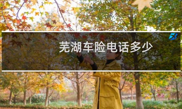 芜湖车险电话多少